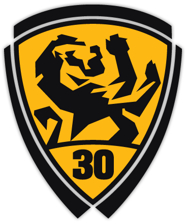 Painters District Council 30